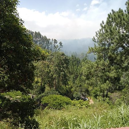 New Rose Villa Bandarawela Ella Exterior photo