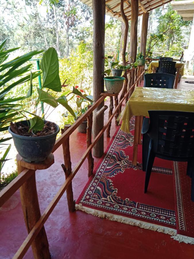 New Rose Villa Bandarawela Ella Exterior photo