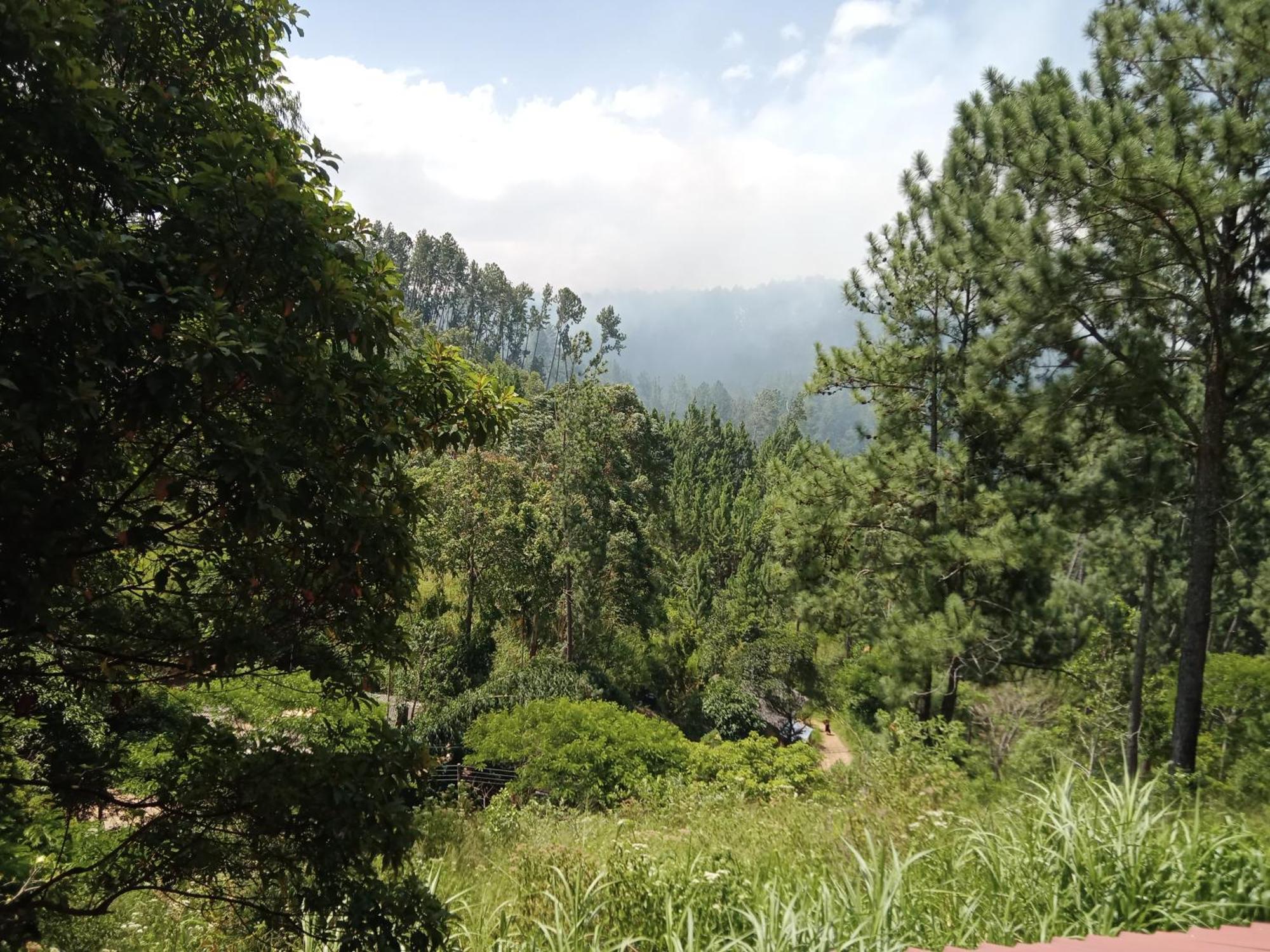 New Rose Villa Bandarawela Ella Exterior photo