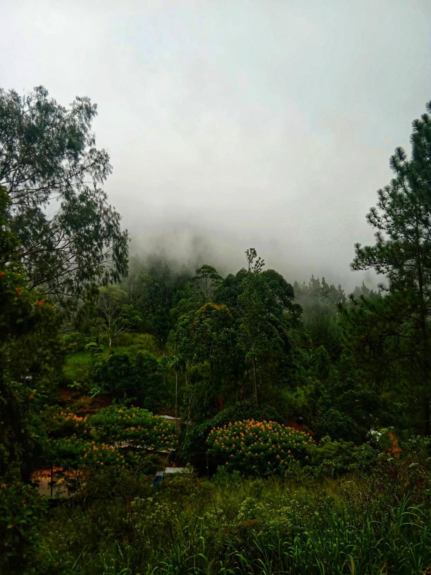 New Rose Villa Bandarawela Ella Exterior photo