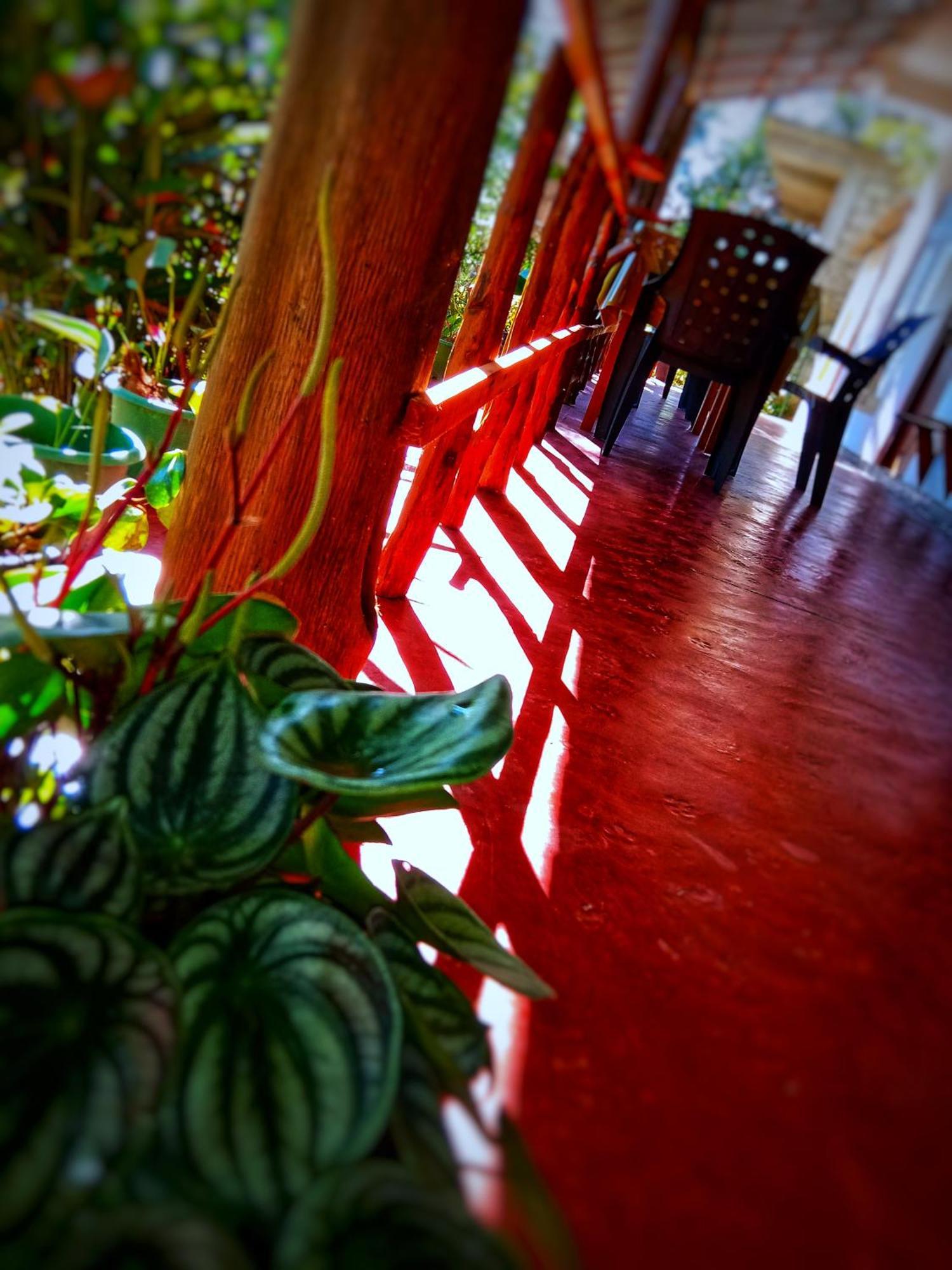 New Rose Villa Bandarawela Ella Exterior photo
