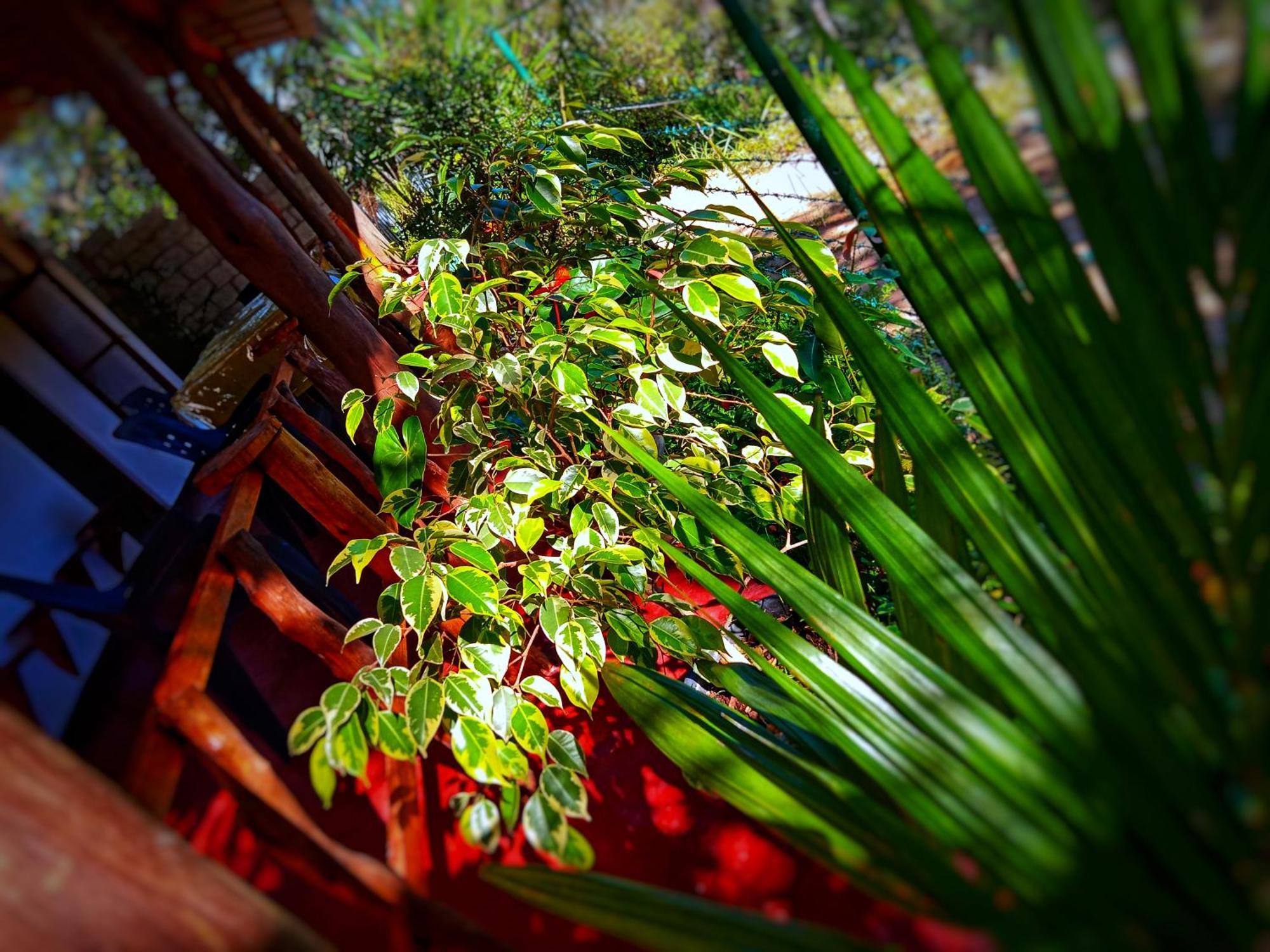 New Rose Villa Bandarawela Ella Exterior photo