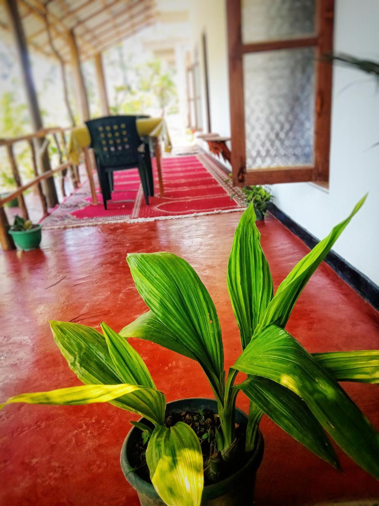 New Rose Villa Bandarawela Ella Exterior photo