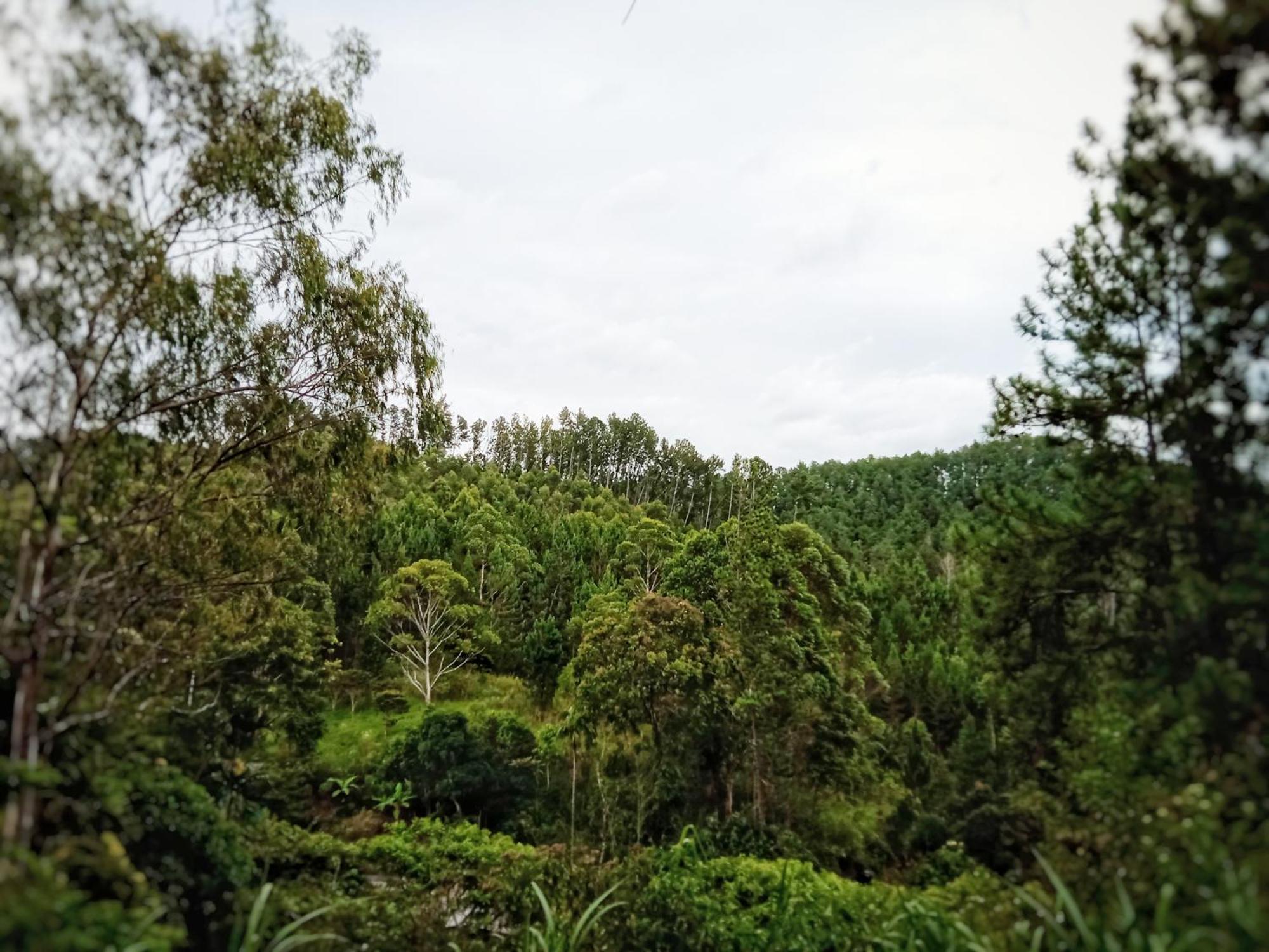 New Rose Villa Bandarawela Ella Exterior photo