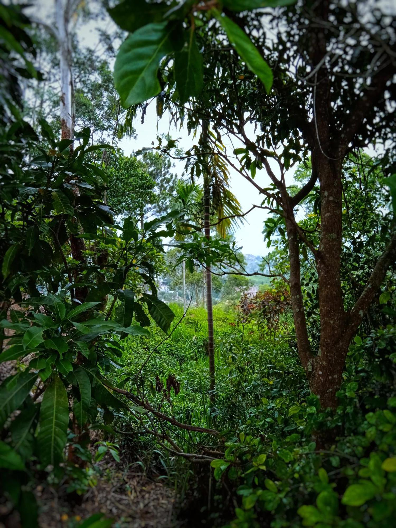 New Rose Villa Bandarawela Ella Exterior photo